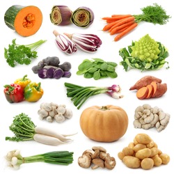 Vegetable collection isolated on a white background.