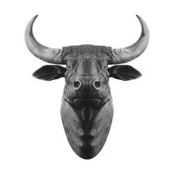 bull head statue for wall decoration on white background