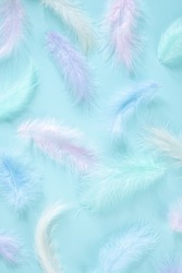 Feathers multicolored background in pastel colors. Feathers pattern. Natural pastel feathers in muted colors. Beautiful feathers surface. Feather wallpaper. nature materials background