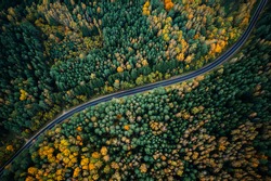 Road in colorful autumn forest view from above. S-form road.