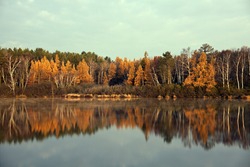 Fall in Tomahawk, Wisconsin. Colorful trees reflected in the lake.