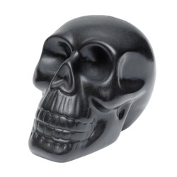 Single black human skull, plastic model, souvenir, isolated on white background
