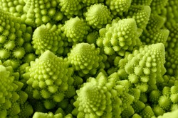 Backgrounds and textures: abstract green natural background, Romanesco broccoli (Brassica oleracea), close-up shot, selective focus