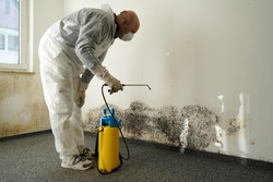 specialist in combating mold in an apartment