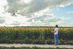 Professional agriculture drone flying with blue sky background controlled by young man. Octocopter flights outdoors, sunflower field.