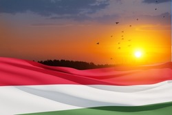 Waving flag of Hungary in sunset sky with flying birds. Independence day, National day. Background with place for your text. 3d-rendering.