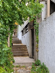 Outdoor alley stairway covered with green tree, ivy, and autumn leaves