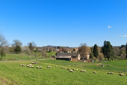 French landscape with village and sheep in the Limousin in France