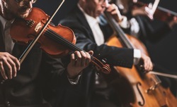 Professional symphonic string orchestra performing on stage and playing a classical music concert, violinist in the foreground