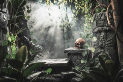 Human skull and ancient ruins in the jungle, exploration and adventure concept
