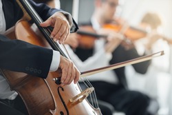 String section of classical music symphony orchestra performing, cellist playing on foreground, hands close up