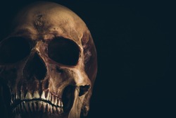 Creepy old skull close up on black background, death and mystery concept