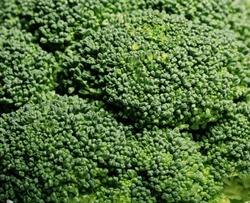 green broccoli macro texture