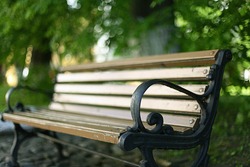 bench in a summer park recreation