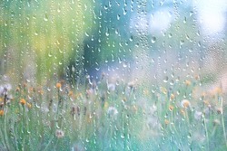spring rain abstract flowers background
