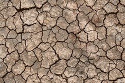 dry earth texture