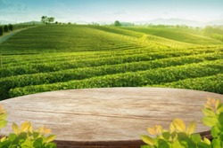 Wooden table top with blurry tea plantation landscape against blue sky and blurred green leave frame Product Display stand natural background concept