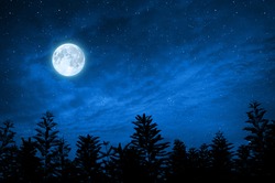 forest in silhouette with starry night sky and full moon , Elements of this image are furnished by nasa