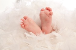 Two baby feet from a newborn covered with feathers