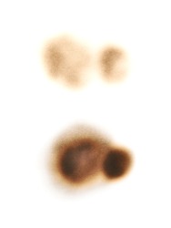 Round paper burn mark stain isolated over the white background , set of several different foreshortenings