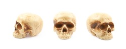 Human skull resin replica as a halloween decoration, isolated over the white background, set of three different foreshortenings