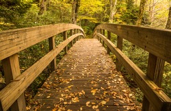 Tanawha trail bridge in the Autumn landscape of the Blue Ridge Mountains near Blowing Rock, North Carolina