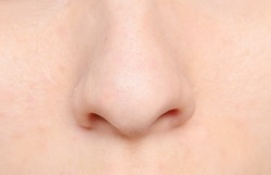 macro shot of human nose