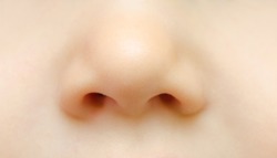 close up of baby nose