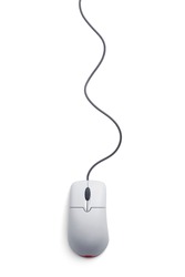 Computer mouse, similar to sperm on a white background