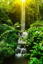 Tropical waterfall in rain forest