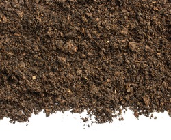 Dark Soil on White Background.Top View of a soil. Close Up Macro View with Text or Image Space