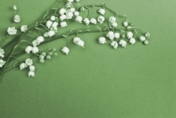 Lily of the valley on blue background