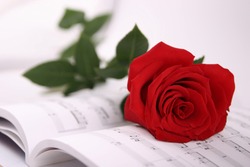 red rose and notes