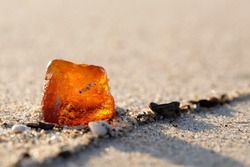 A glittering piece of amber (fossilized tree resin) washed ashore on a sandy beach in The Netherlands