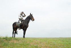 The knight on a horse in field