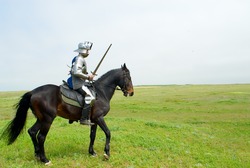 The knight on a horse in field