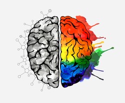 Creative concept of the human brain. Left and right side. Brain left and right side hemispheres concept. Vector illustration   