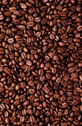 Coffee lover – Top view of roasted coffee beans for background and texture. Piled of roasted coffee beans can be used as a background and texture.