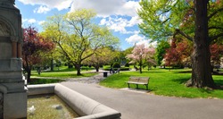 Panoramic view of Boston Public Garden