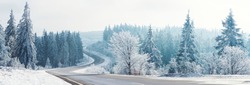 Winter landscape, Winter Forest,  Winter road and trees covered with snow, Germany, panoramic shot