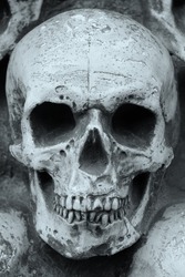 Artificial human skull close-up as postcard with skull or background with skull or photo with skull