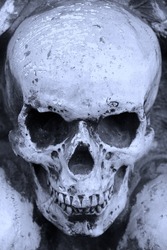 Artificial human skull close-up as postcard with skull or background with skull or photo with skull