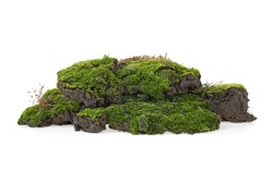 Green mossy hill isolated on white background