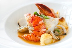 Macro close up of seafood dish lobster and shellfish.