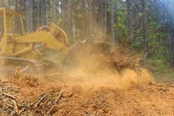 In order to build housing developments, tractors skid steers are used to clear land from roots forestry exploitation