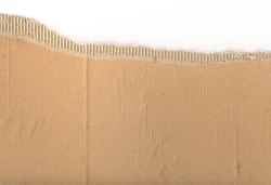 Ripped pieces of corrugated cardboard ready for you to use your design skills on