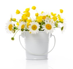 bucket with wildflowers on white