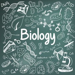 Biology science theory doodle handwriting and tool model icon in blackboard background used for school education and document decoration, create by vector