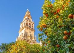 Giralda and orange tree courtyard, It's the name given to the bell tower of the Cathedral of Santa Maria de la Sede of the city of Seville, in Andalusia, Spain.