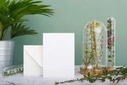 Vertical greeting card standing on table surrounded by plants